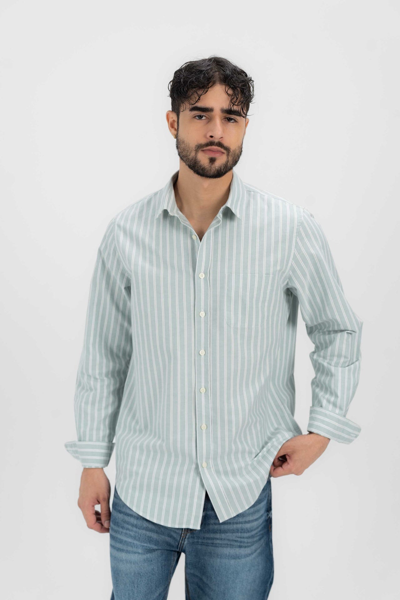 Tailored Twin Stripped Shirt